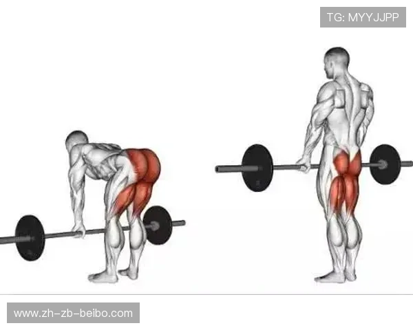 转体健身器材：适合转体练习的健身器材类型与功能说明